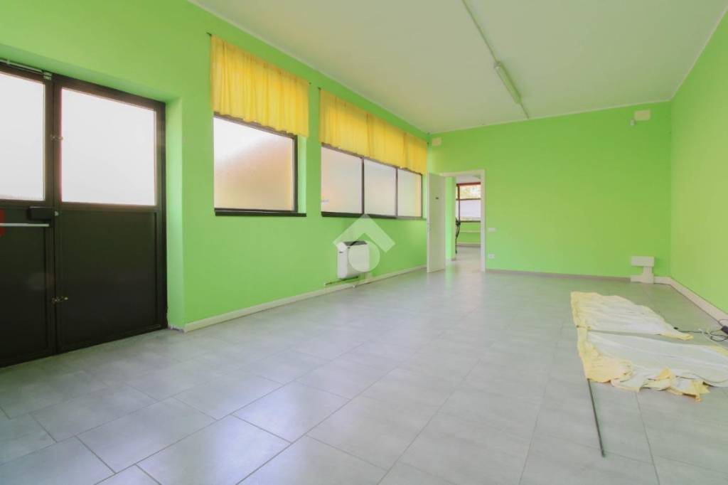 immagine annuncio 4 di 14