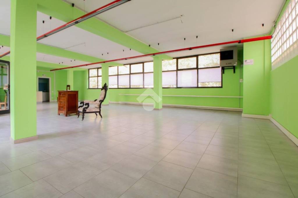 immagine annuncio 5 di 14