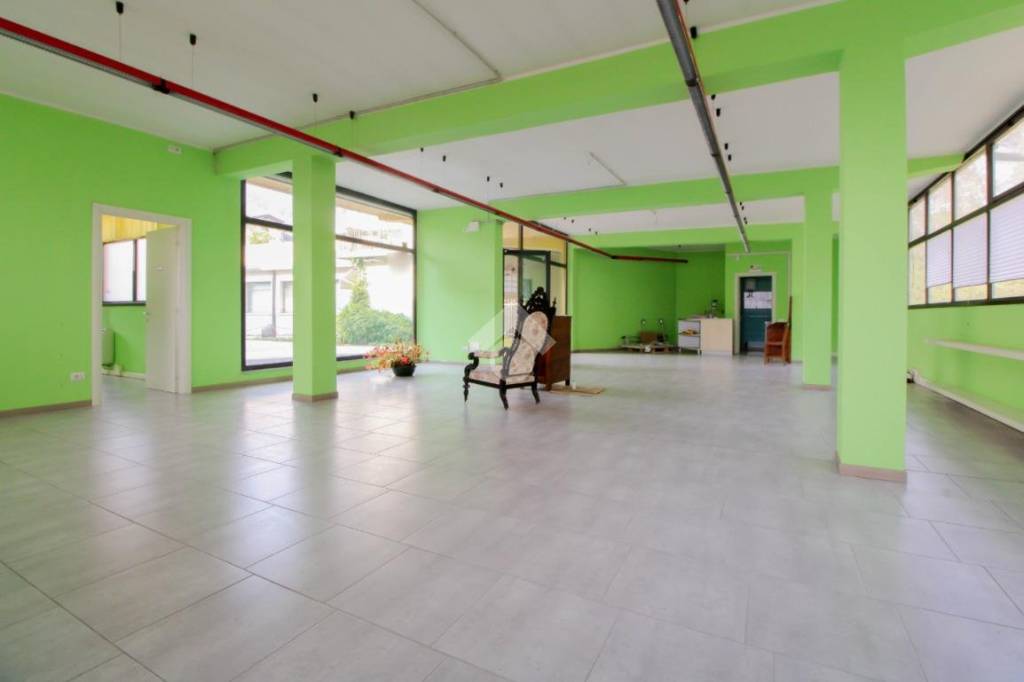 immagine annuncio 9 di 14