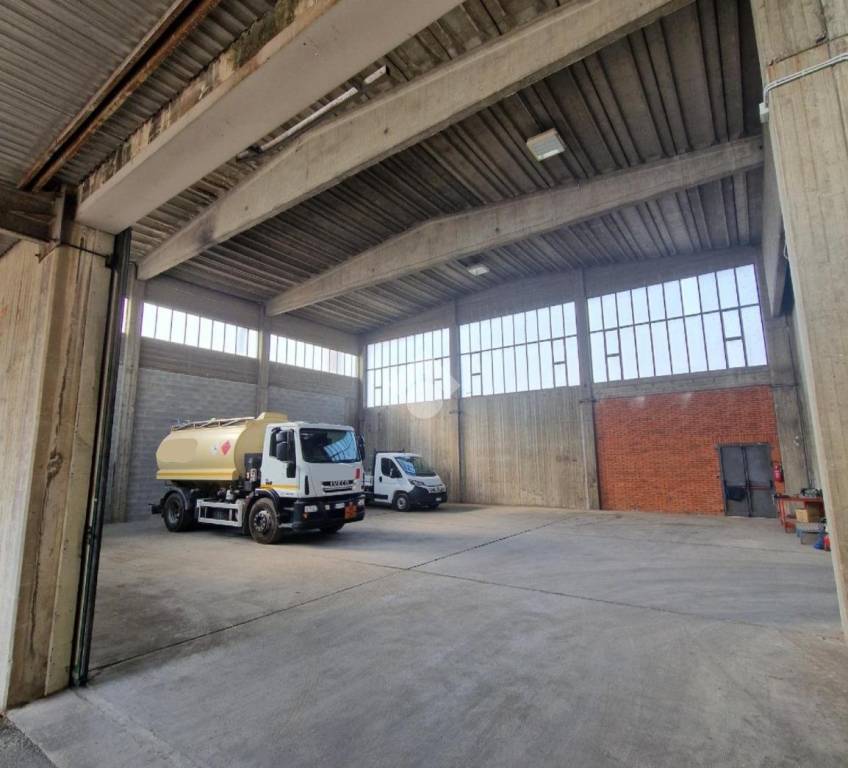 immagine annuncio 7 di 15