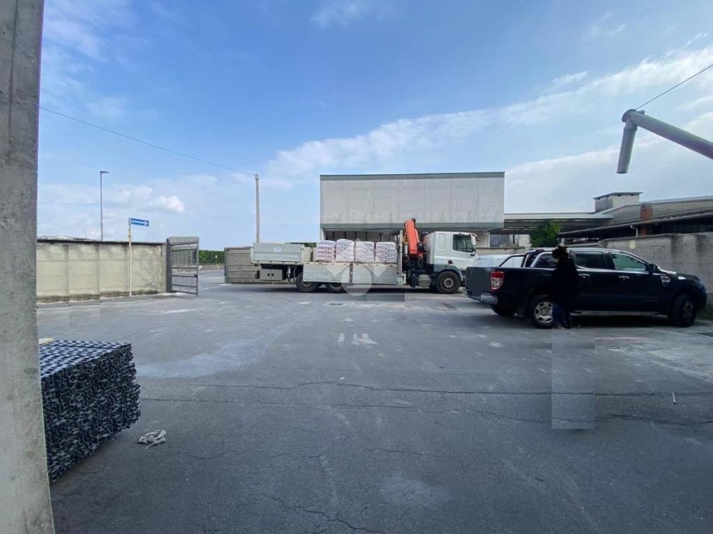 immagine annuncio 12 di 15