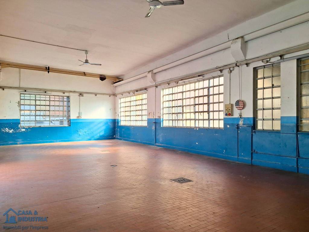 immagine annuncio 4 di 12