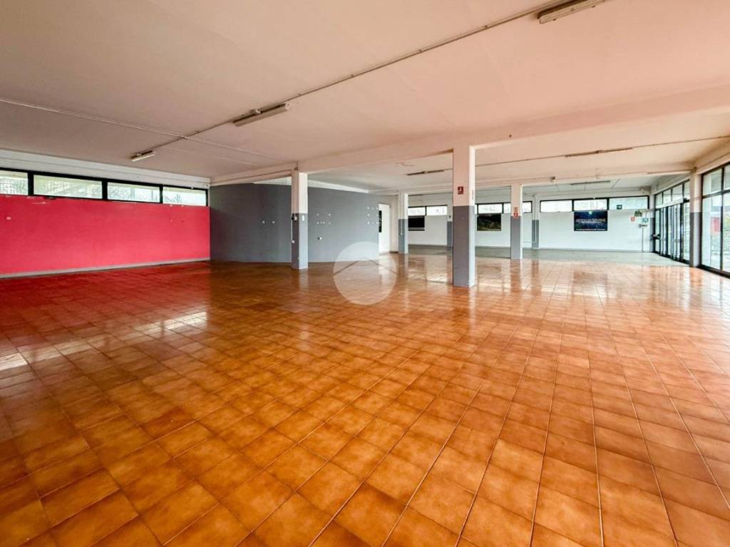 immagine annuncio 6 di 14