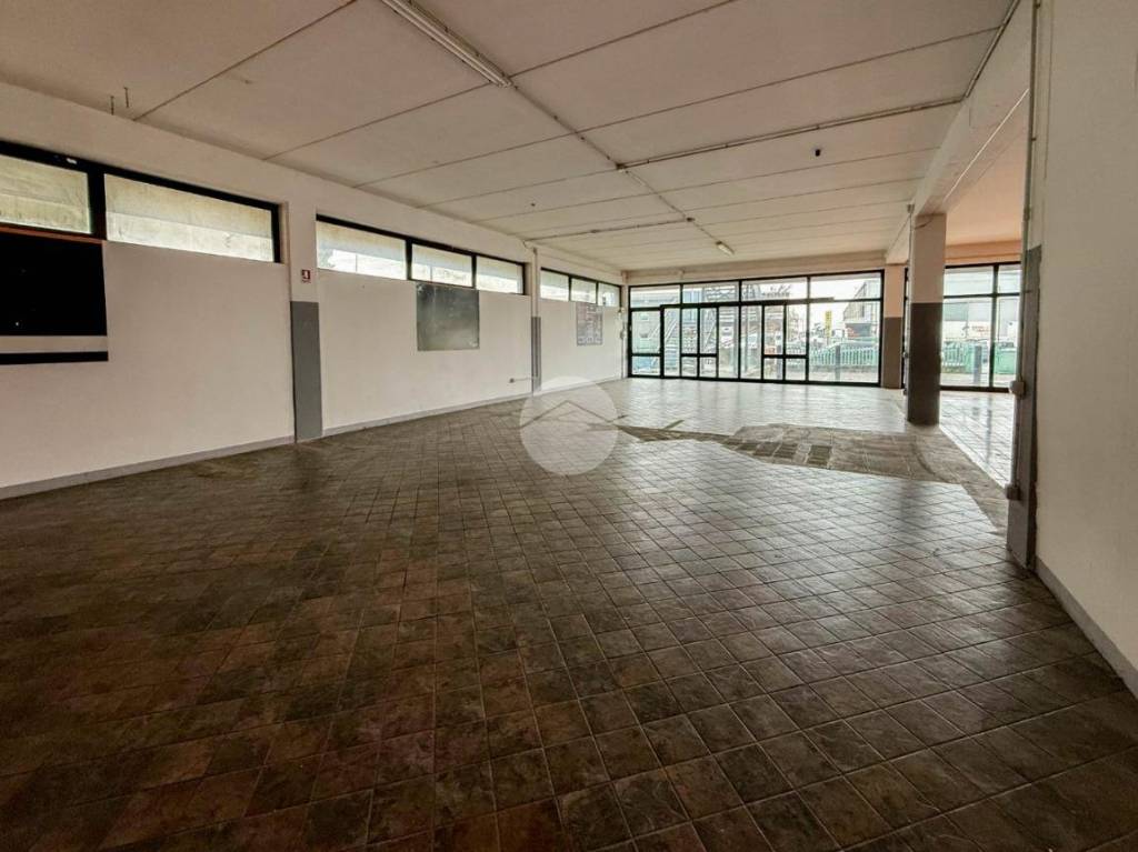 immagine annuncio 7 di 14