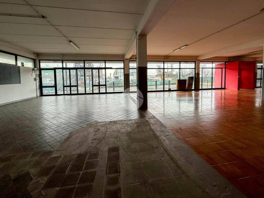 immagine annuncio 8 di 14