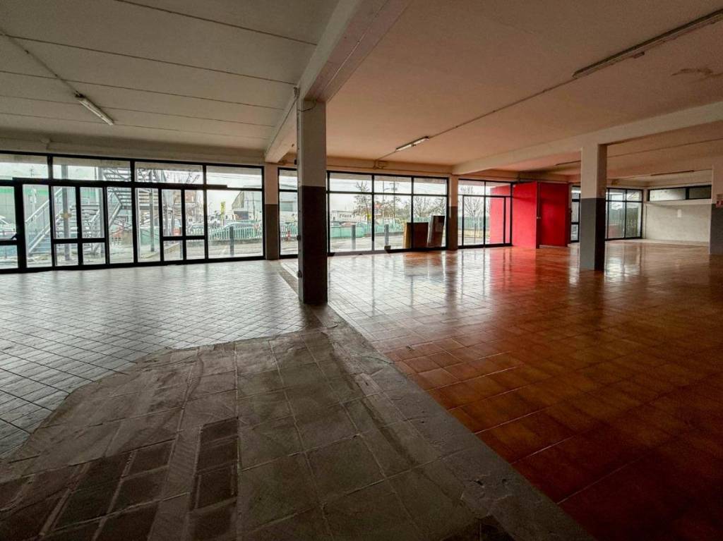 immagine annuncio 11 di 14