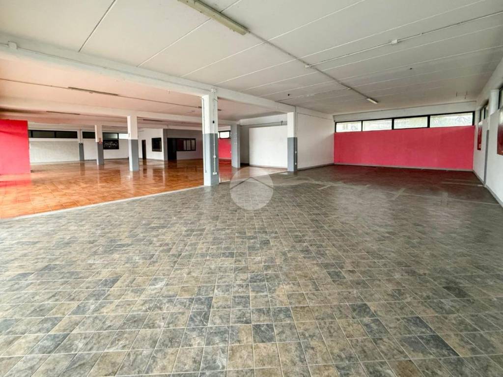 immagine annuncio 2 di 14