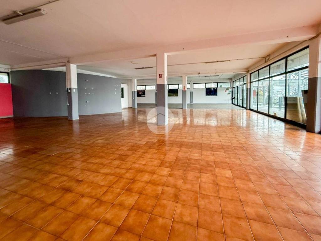 immagine annuncio 3 di 14