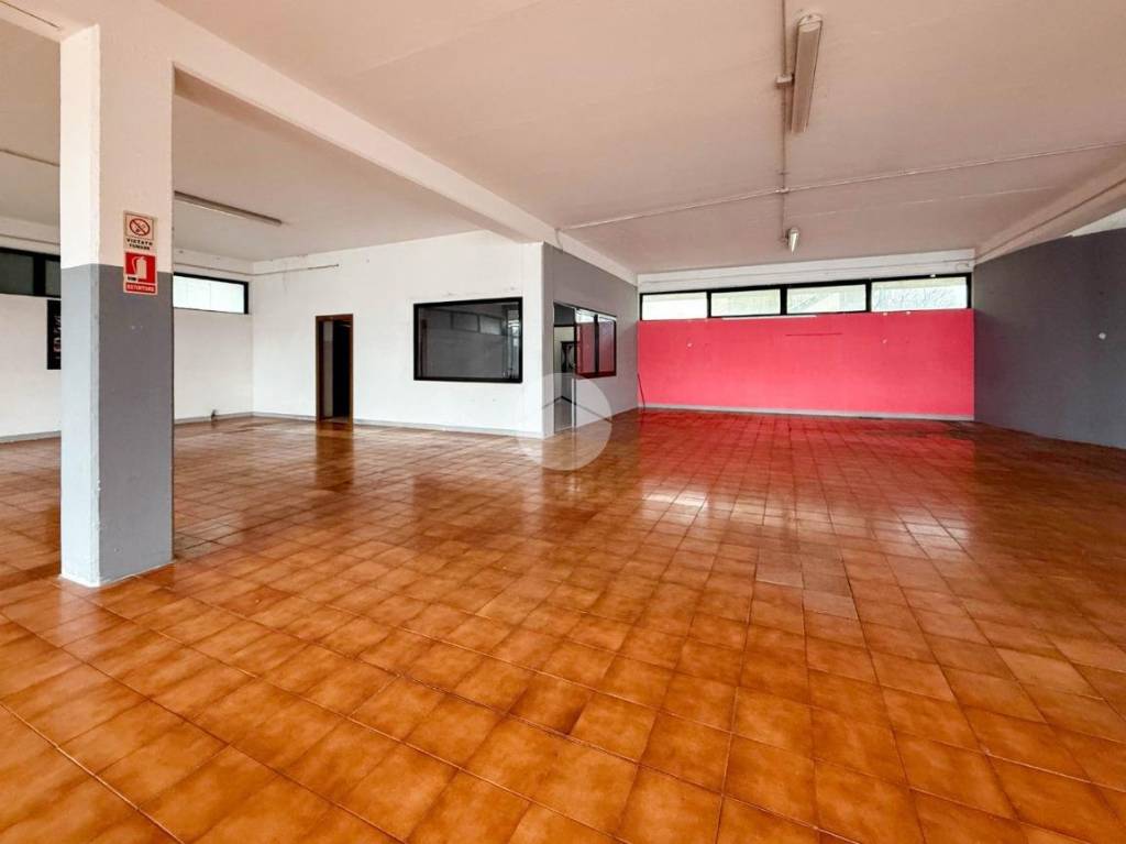 immagine annuncio 5 di 14