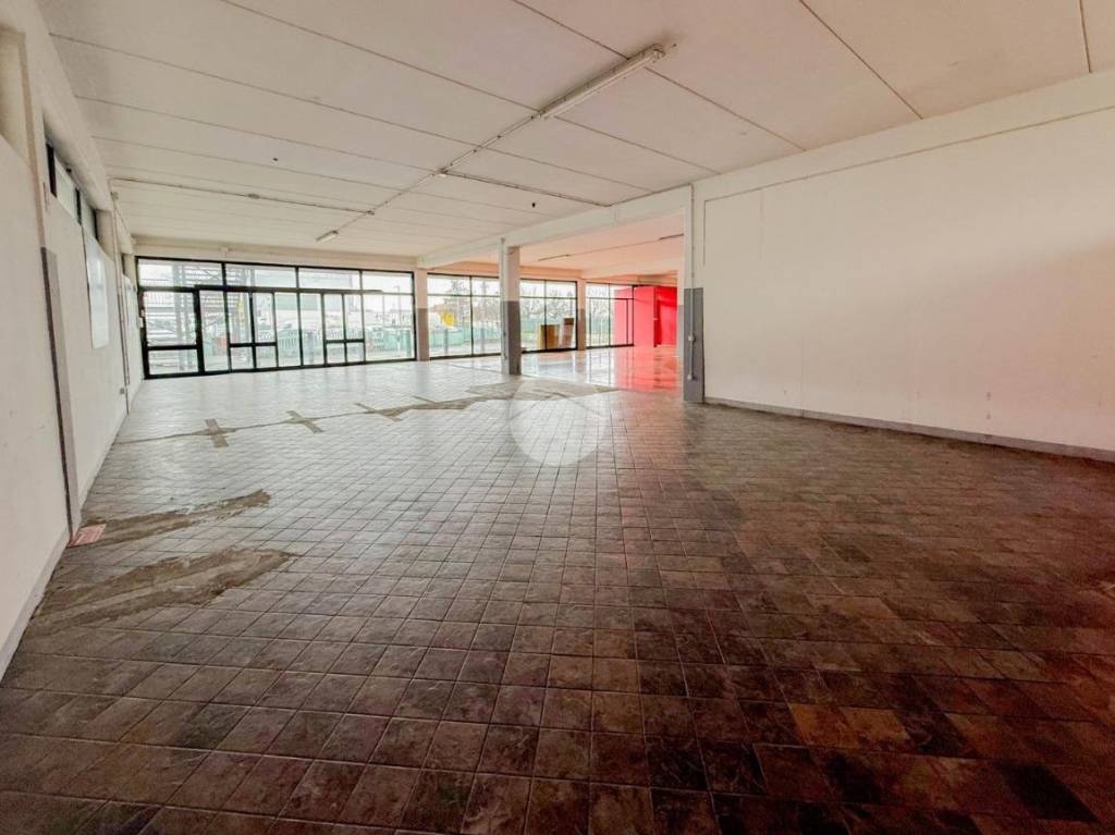 immagine annuncio 11 di 14