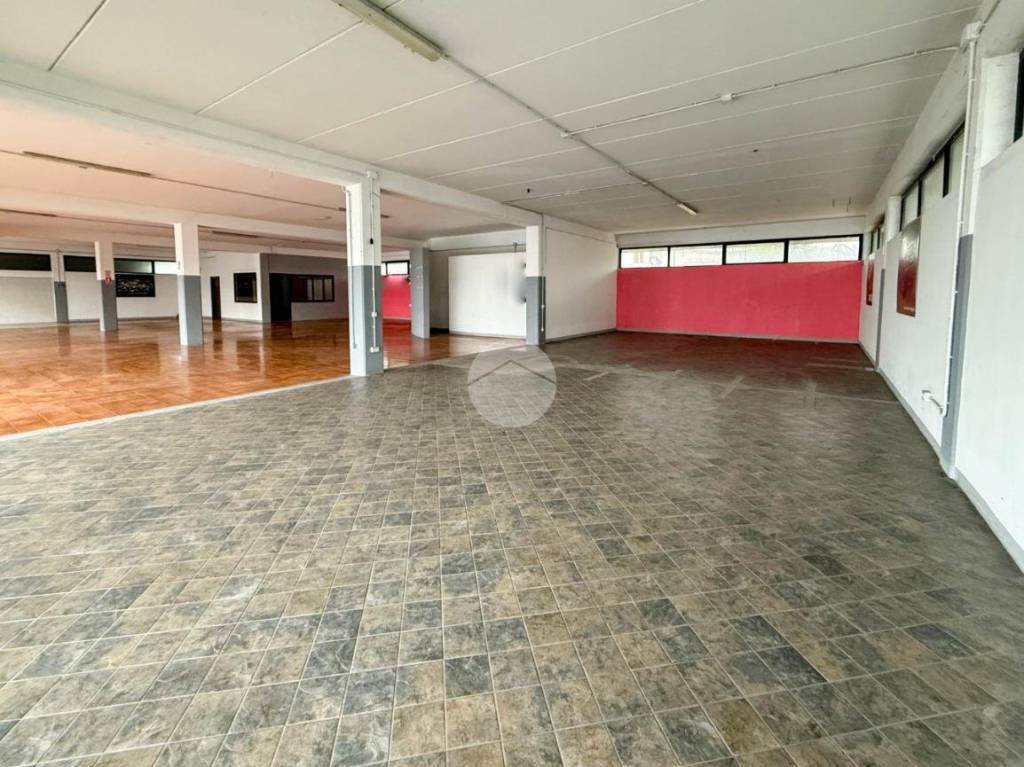 immagine annuncio 2 di 14