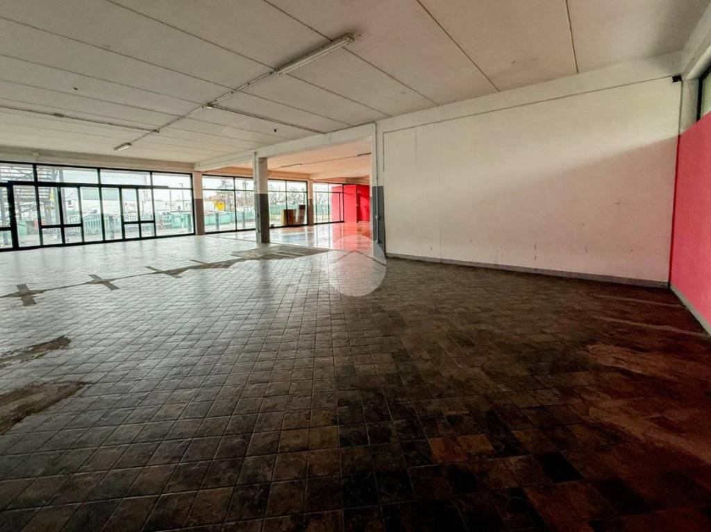 immagine annuncio 7 di 14