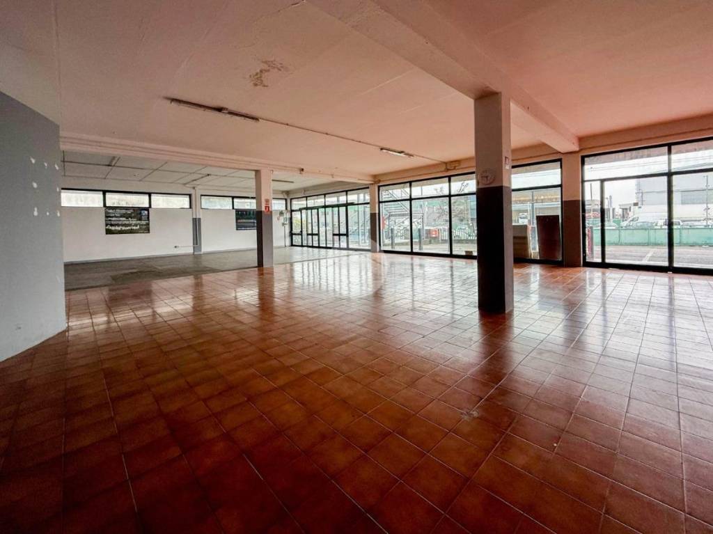 immagine annuncio 10 di 14