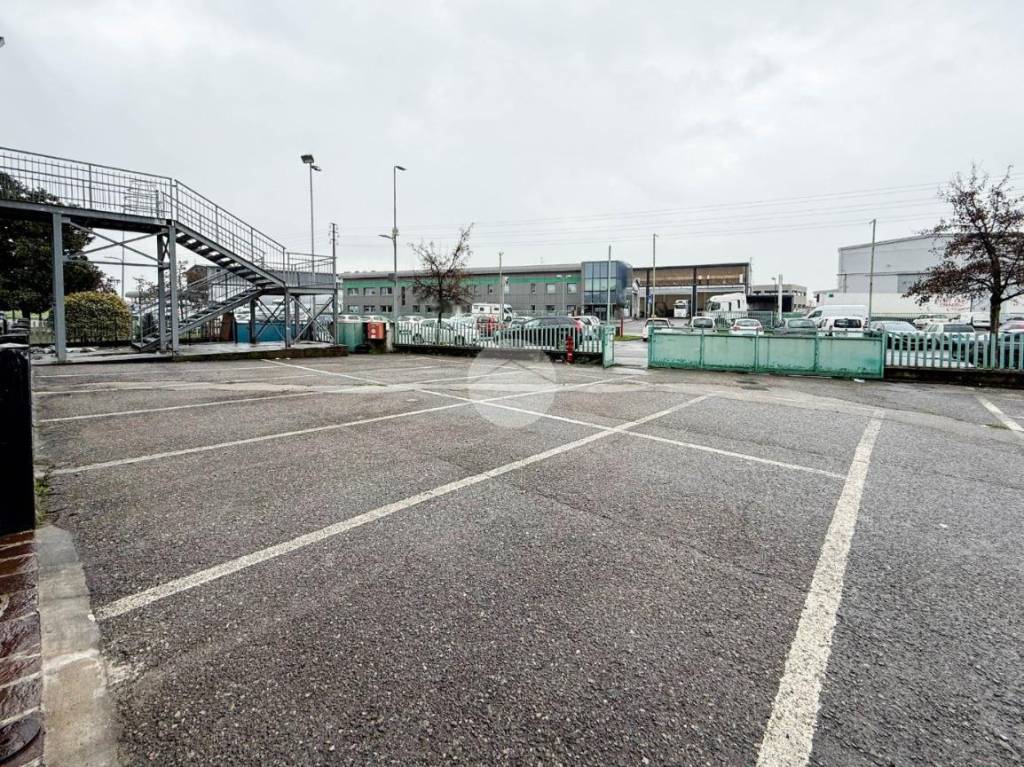 immagine annuncio 12 di 14