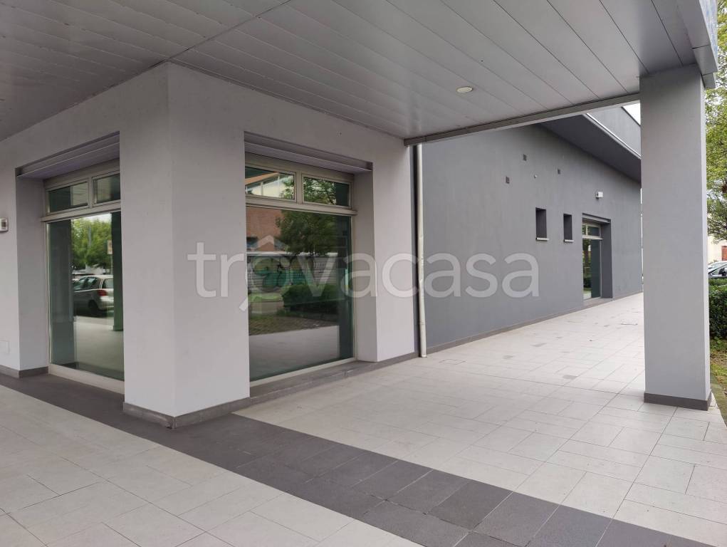 immagine annuncio 4 di 7