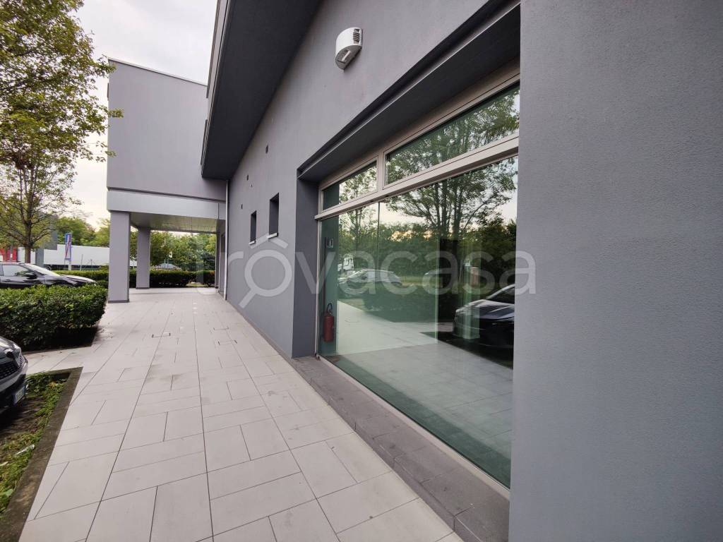 immagine annuncio 6 di 7