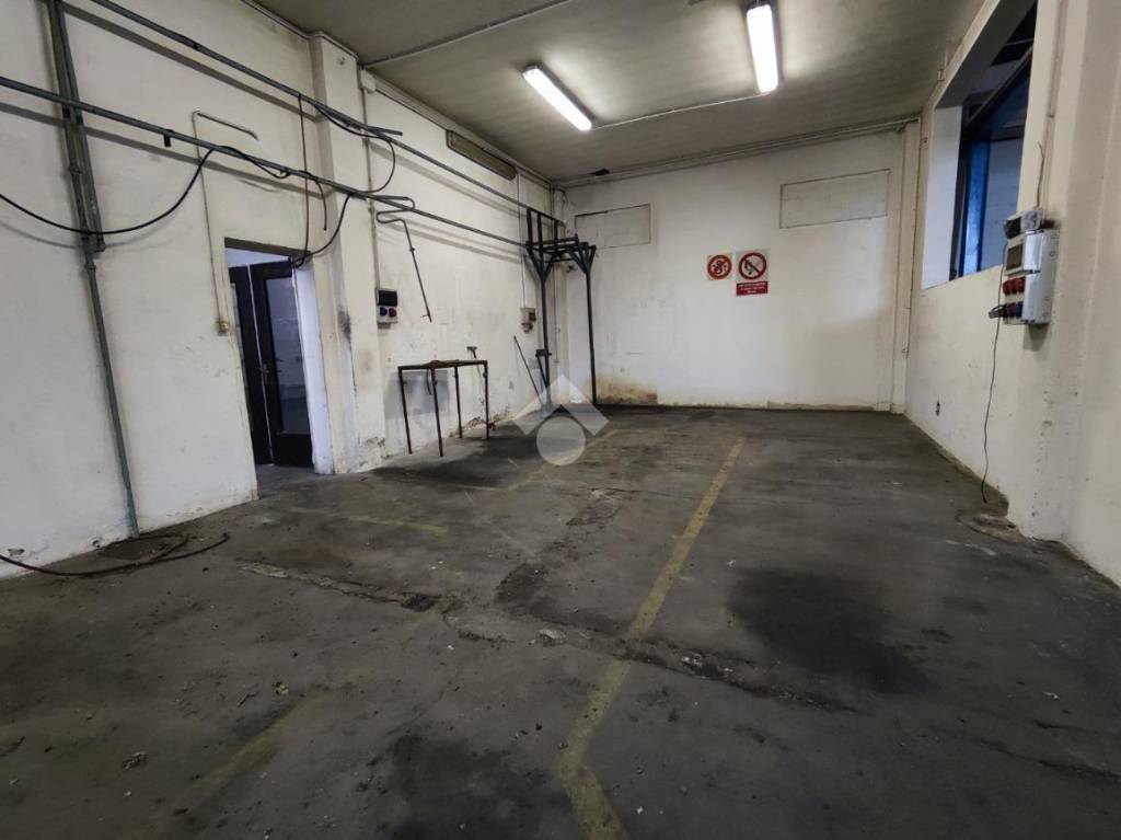 immagine annuncio 3 di 12