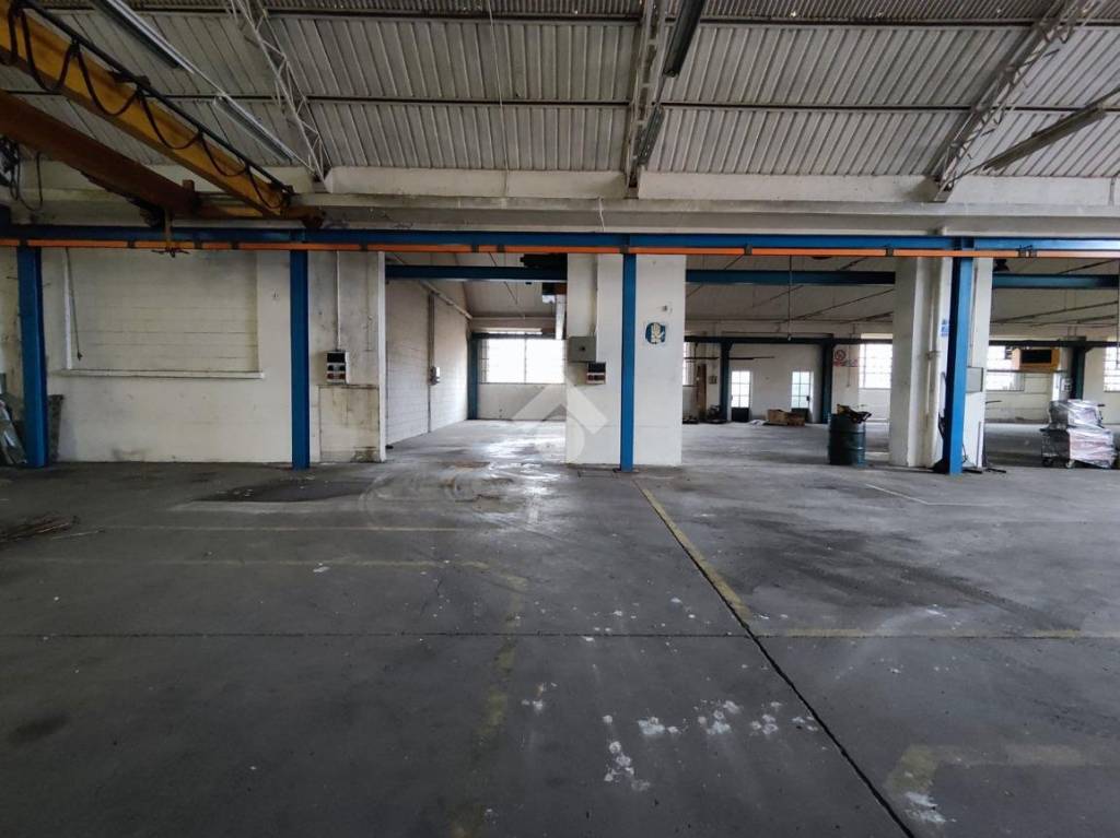 immagine annuncio 6 di 12