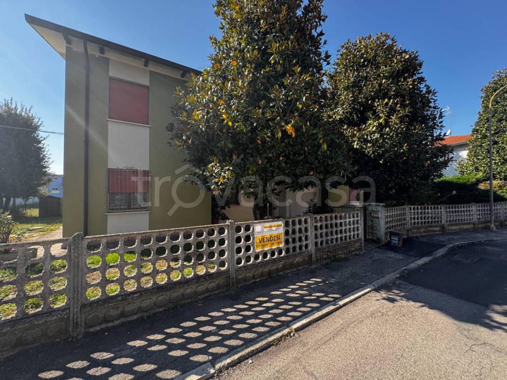 immagine annuncio 5 di 12