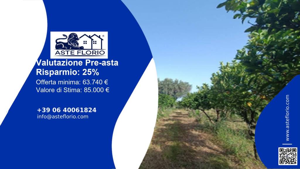 immagine annuncio 1 di 12