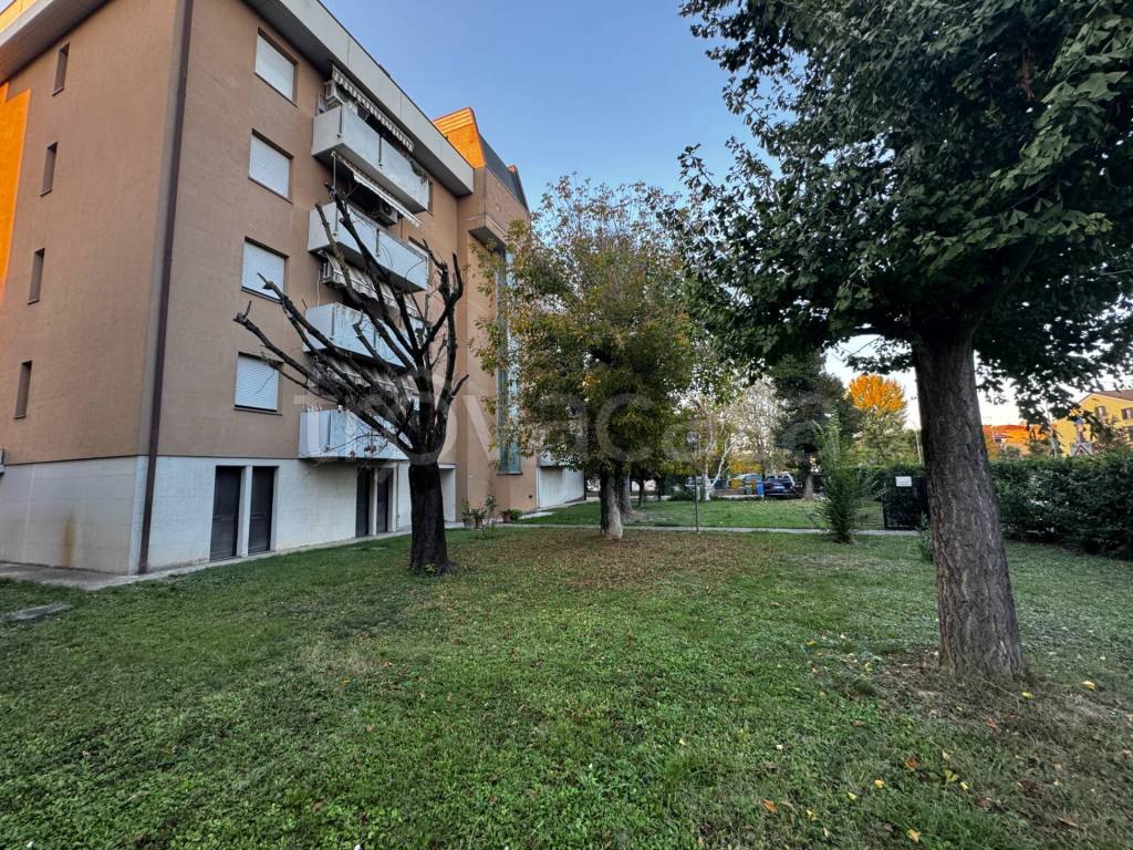 immagine annuncio 12 di 13