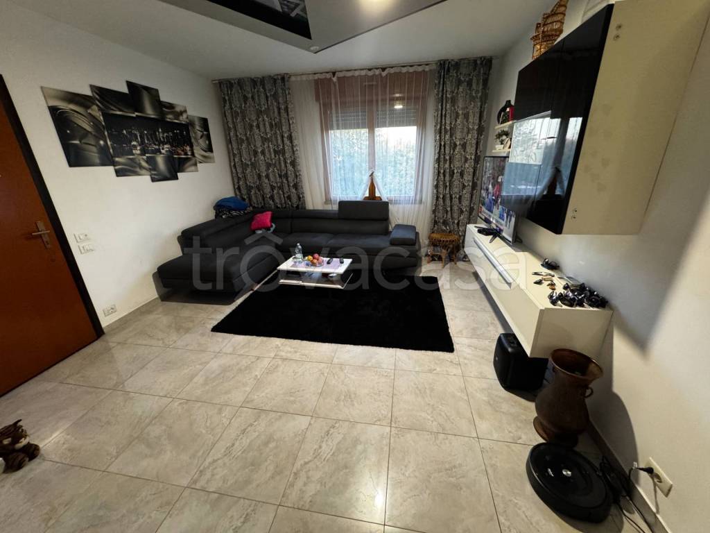 immagine annuncio 3 di 13