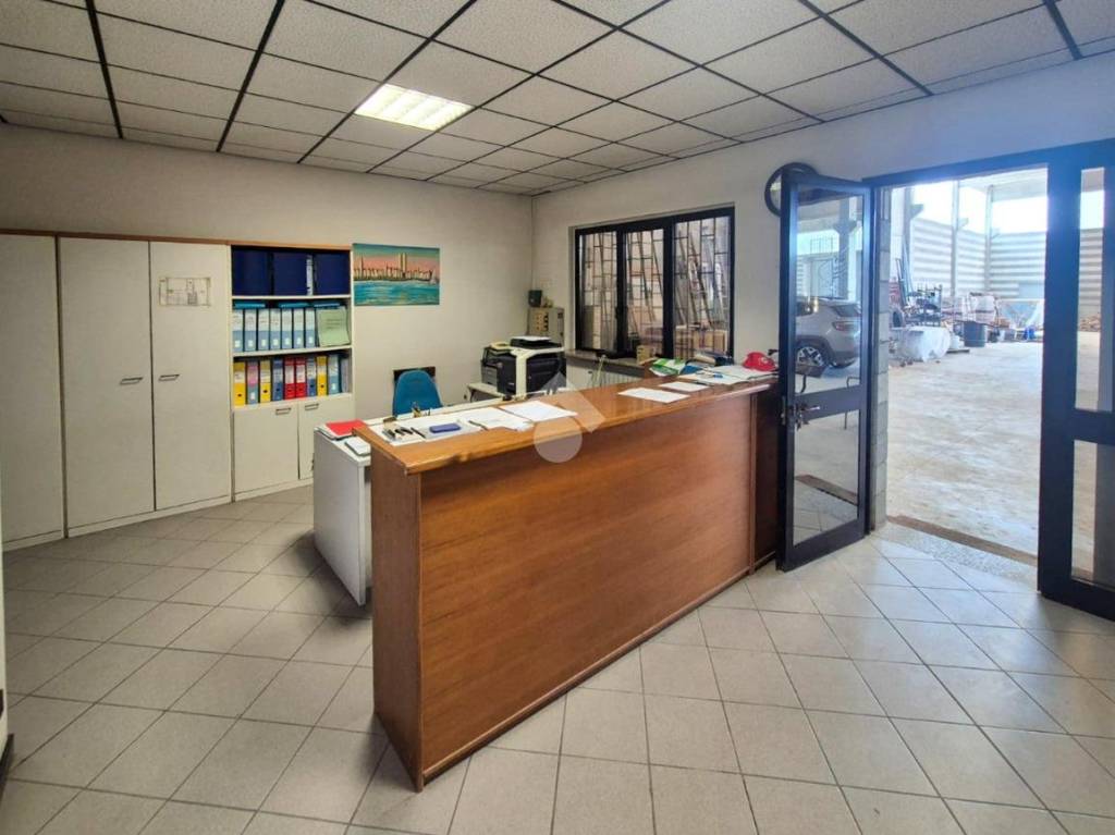 immagine annuncio 12 di 15