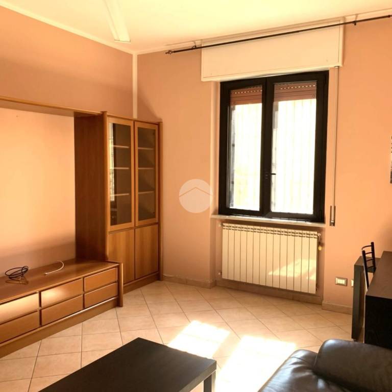 immagine annuncio 2 di 14