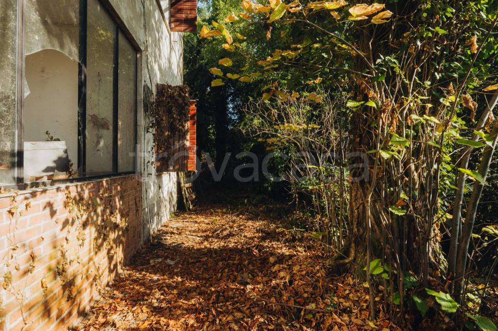 immagine annuncio 6 di 14