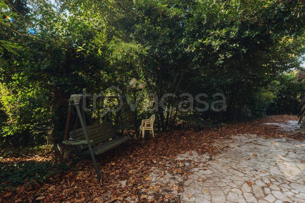 immagine annuncio 7 di 14