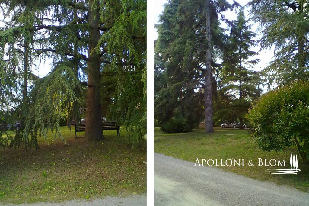 immagine annuncio 11 di 13