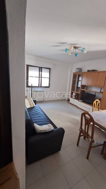 immagine annuncio 9 di 14