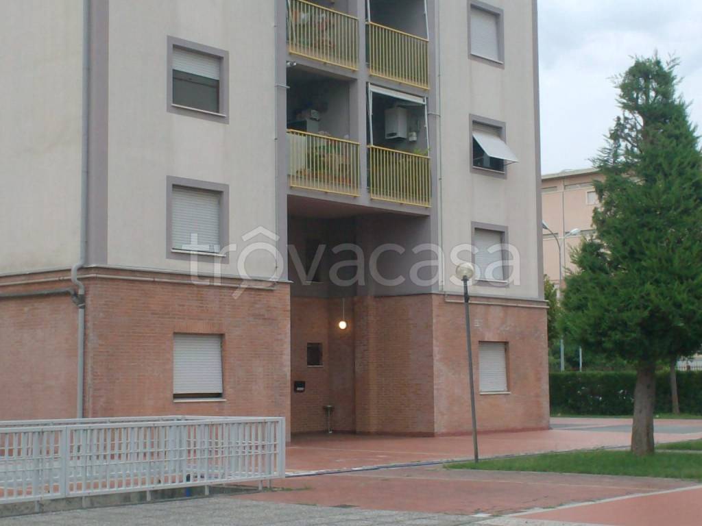 immagine annuncio 13 di 14