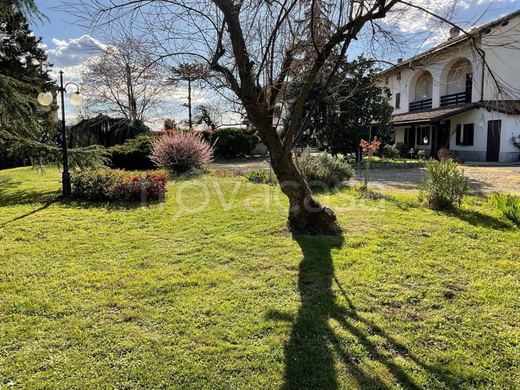 immagine annuncio 5 di 11