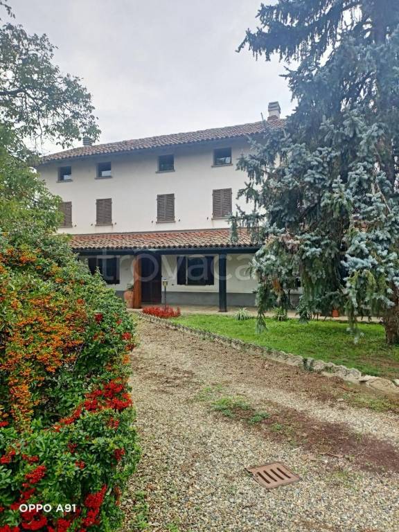 immagine annuncio 3 di 11