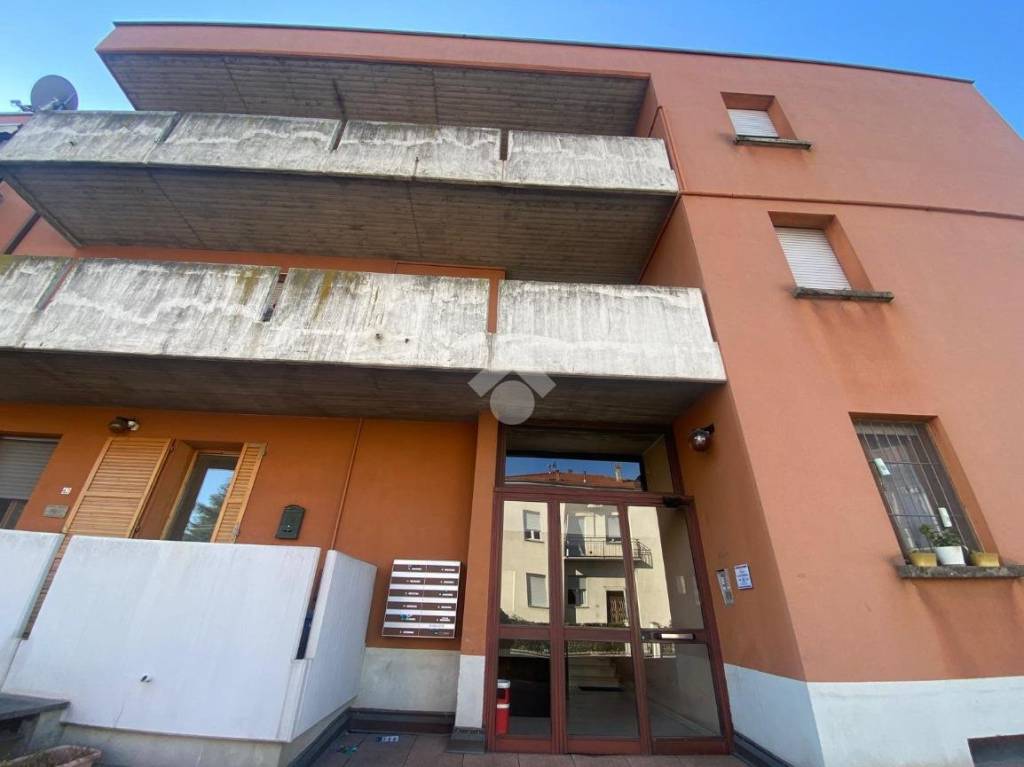 immagine annuncio 3 di 14