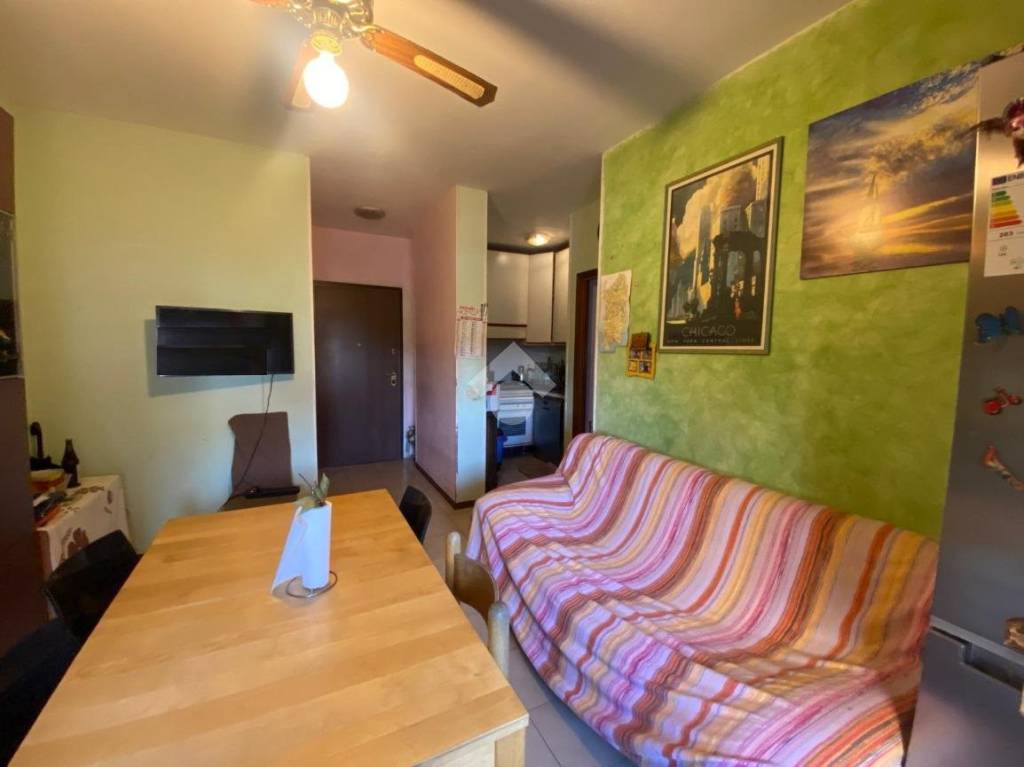 immagine annuncio 4 di 14