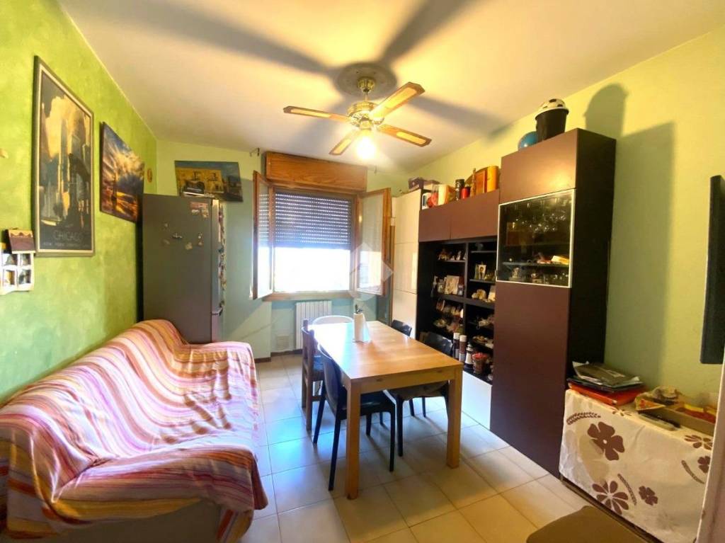 immagine annuncio 6 di 14