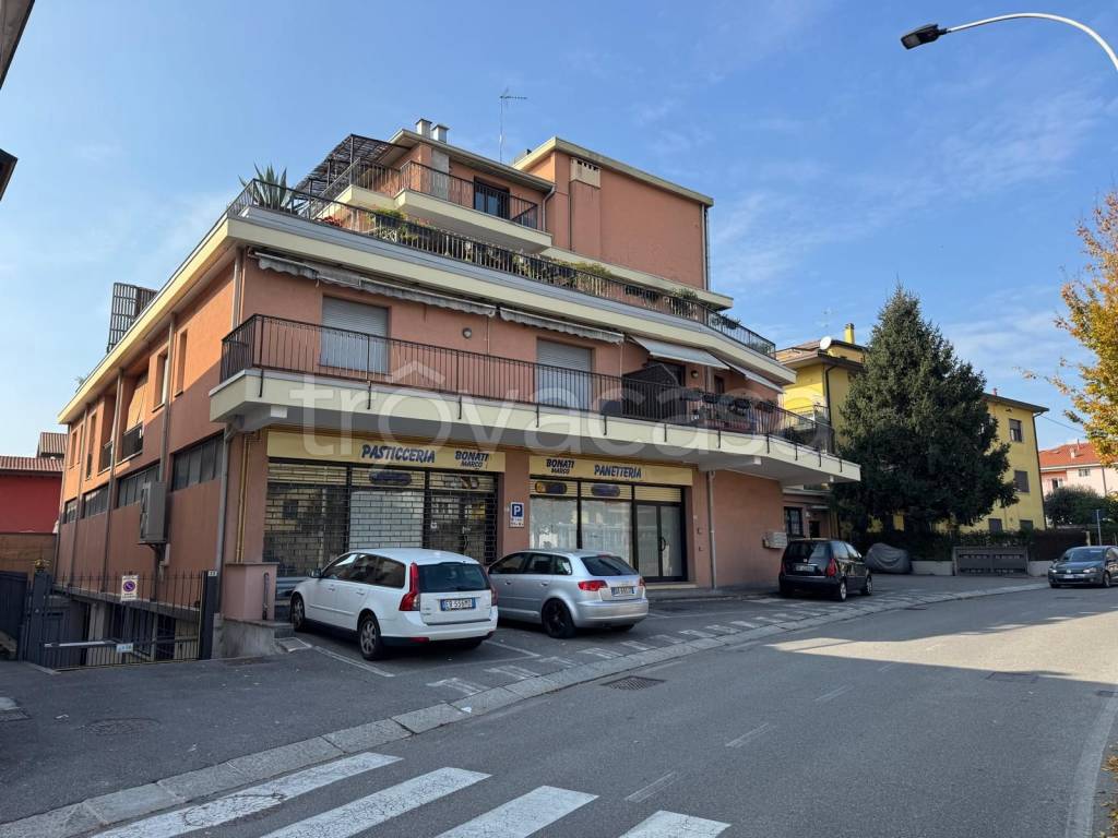 immagine annuncio 4 di 15