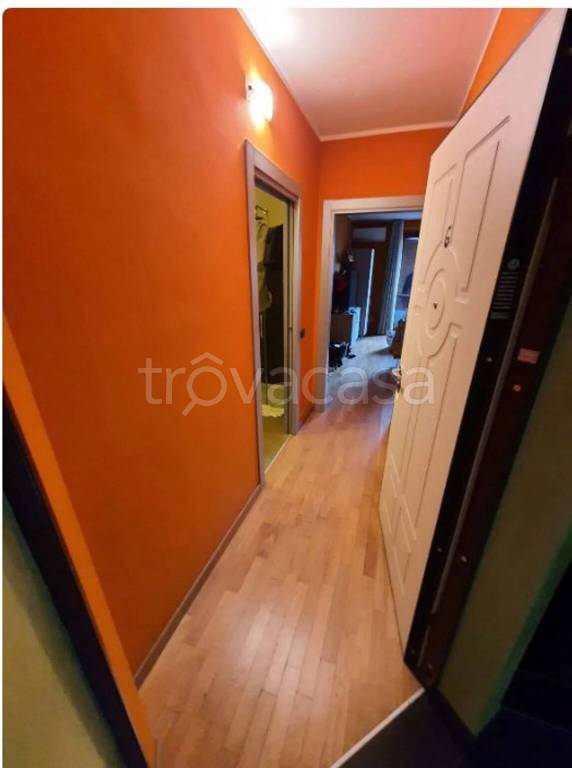 immagine annuncio 9 di 14