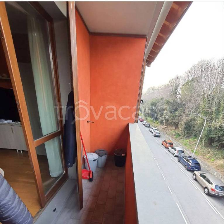 immagine annuncio 12 di 14