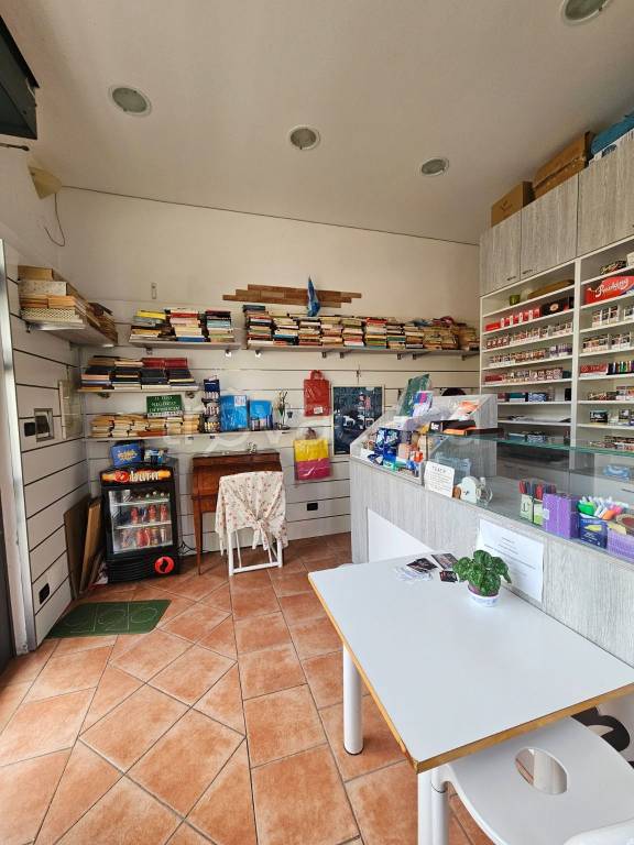 immagine annuncio 7 di 10