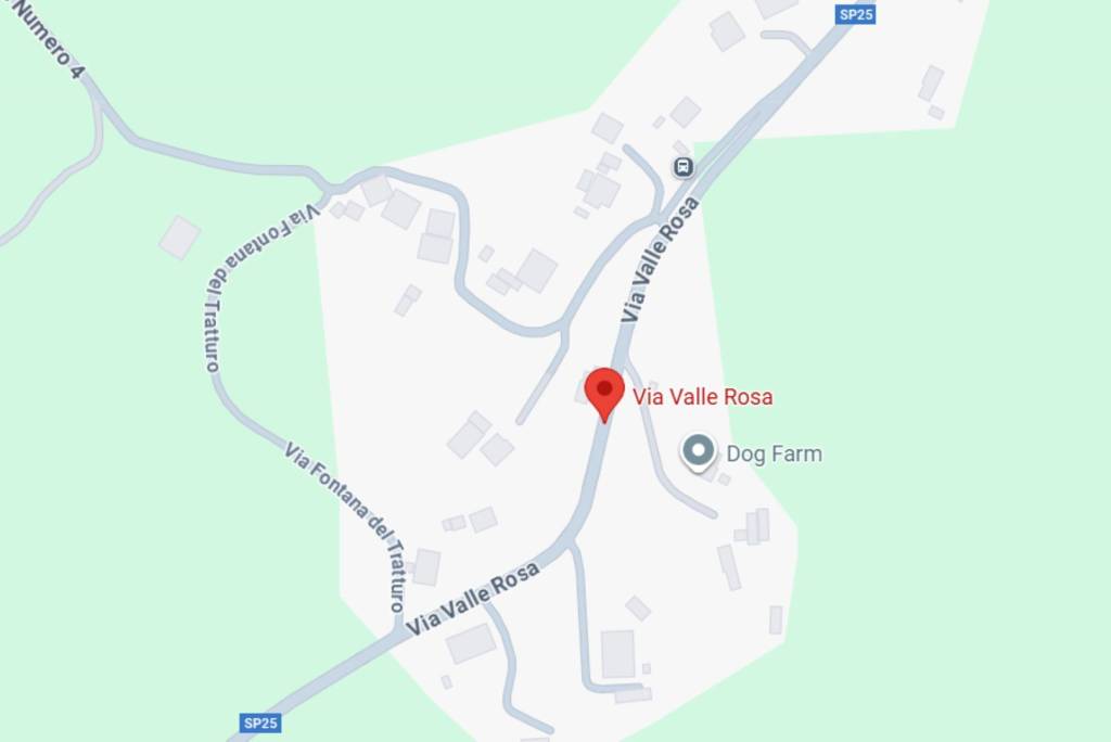 immagine annuncio 4 di 11