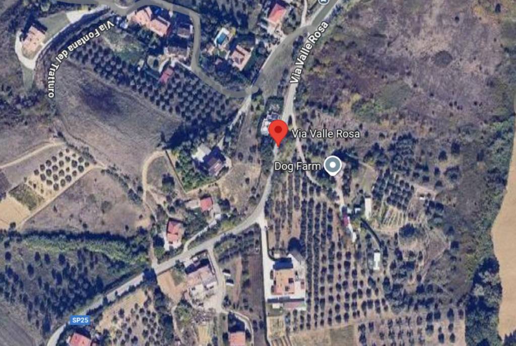 immagine annuncio 9 di 11