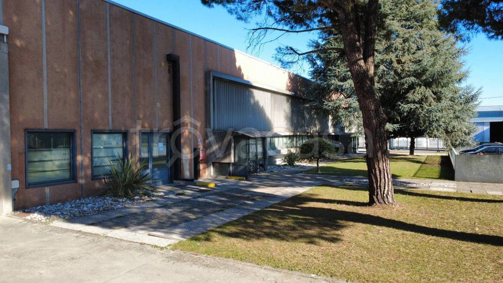 immagine annuncio 2 di 10