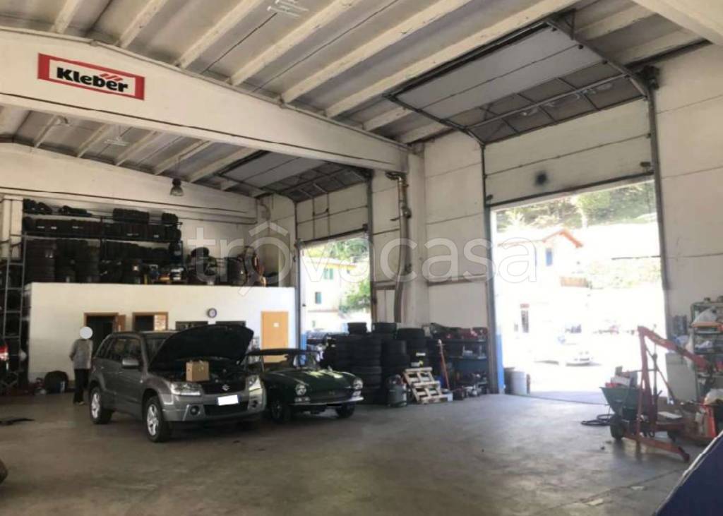 immagine annuncio 6 di 13