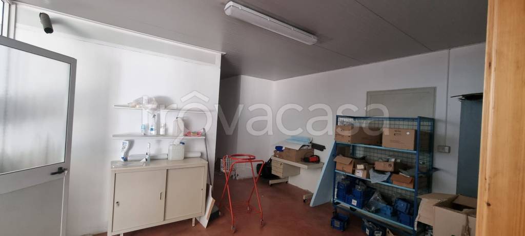 immagine annuncio 9 di 14