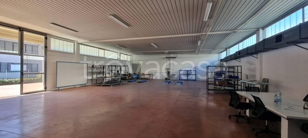 immagine annuncio 5 di 14