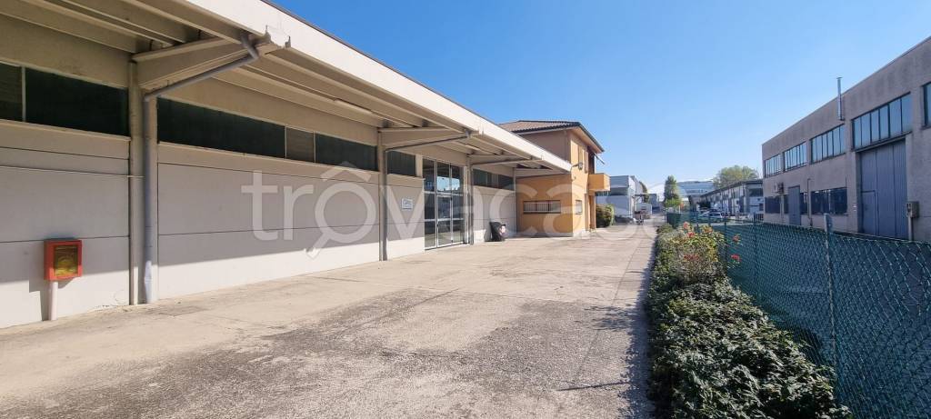 immagine annuncio 2 di 14