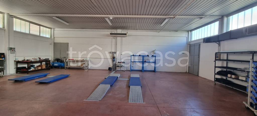 immagine annuncio 7 di 14